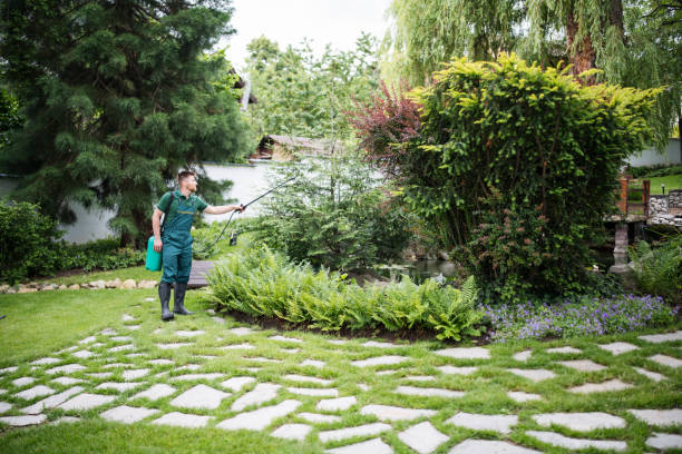 Best Exterminator Services  in East Berwick, PA