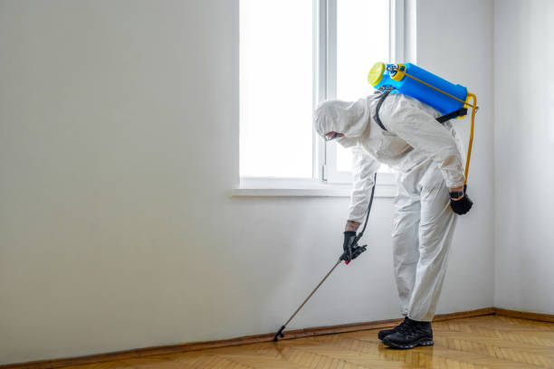Best Best Pest Control Companies  in East Berwick, PA